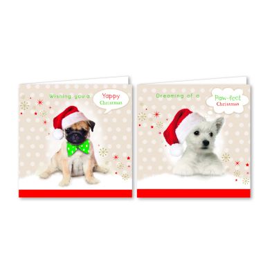 See more information about the 12 Christmas Cards (Photographic Puppies)